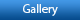 Gallery Page